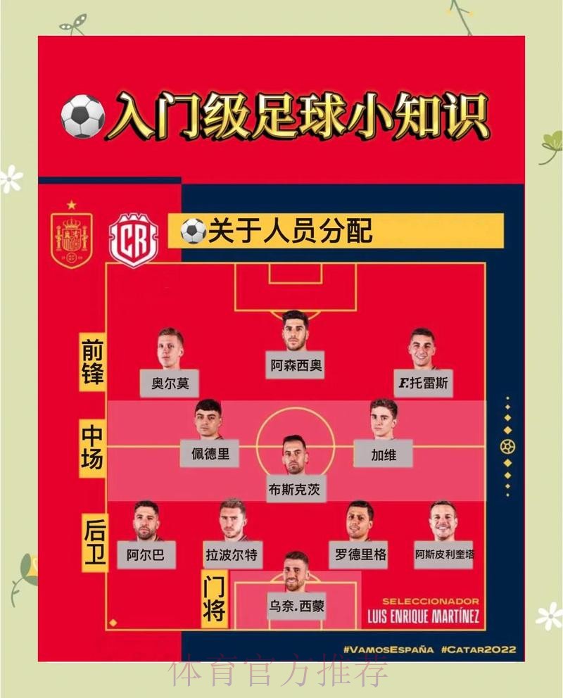 世界杯比分入口及获取方法全解析
