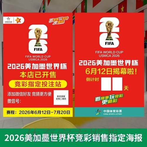 世界杯投注策略与技巧的全面解析
